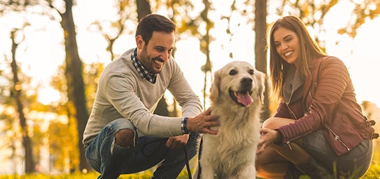 seguros-co-personas-mascotas-preguntas-frecuentes-que-cubre-seguro-mascotas